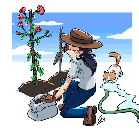 Botany Botany